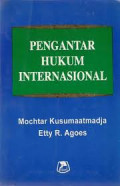 Pengantar Hukum Internasional